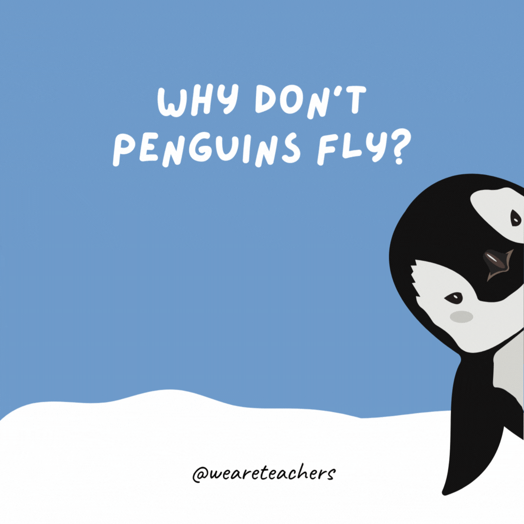 Why don’t penguins fly?

Because they’re not tall enough to be pilots.