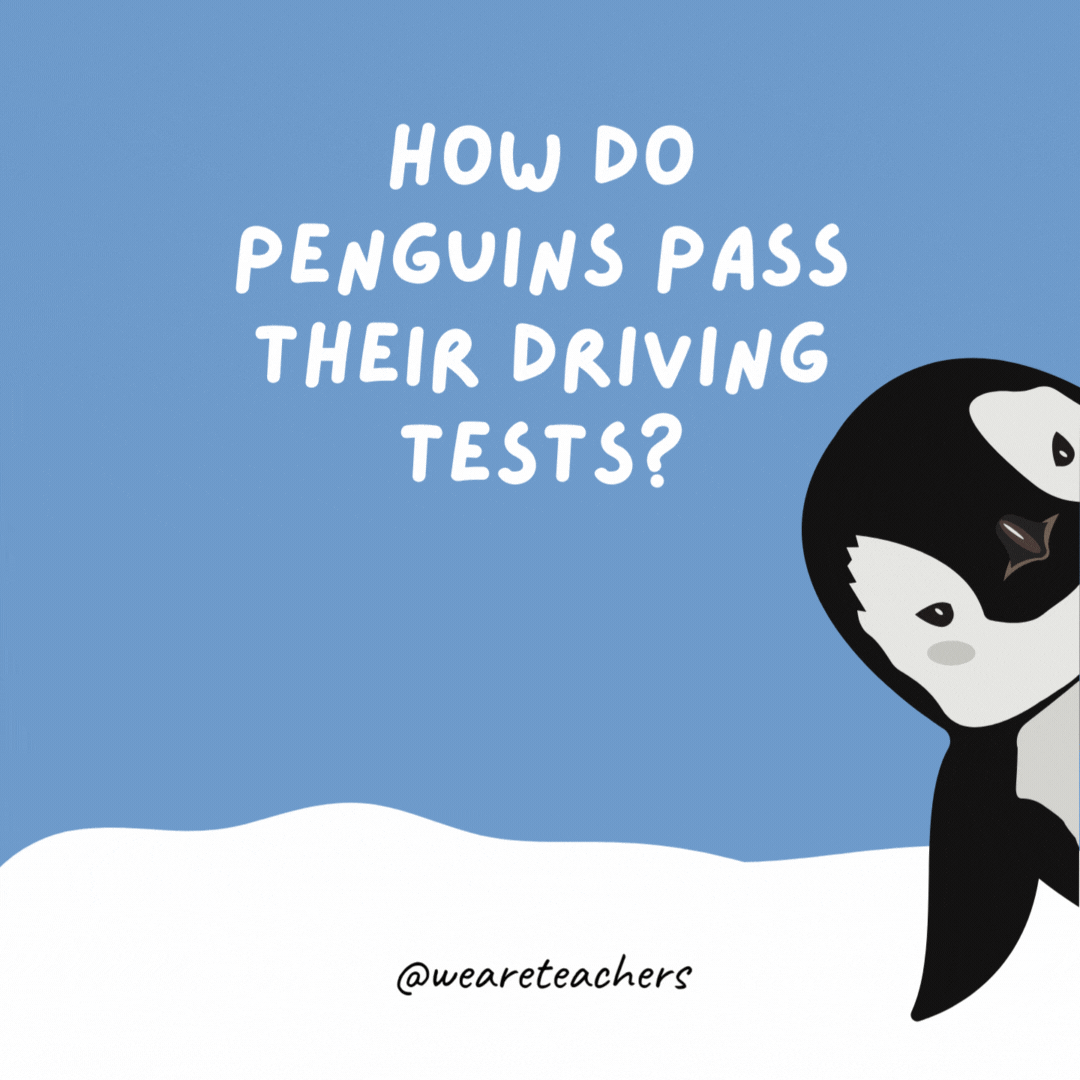 How do penguins pass their driving tests? They wing it.- penguin jokes
