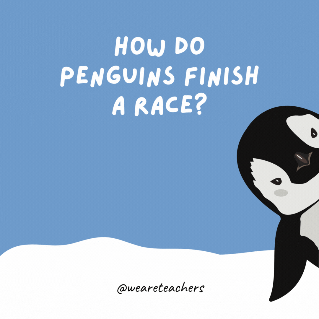 How do penguins finish a race?

They pengwin.