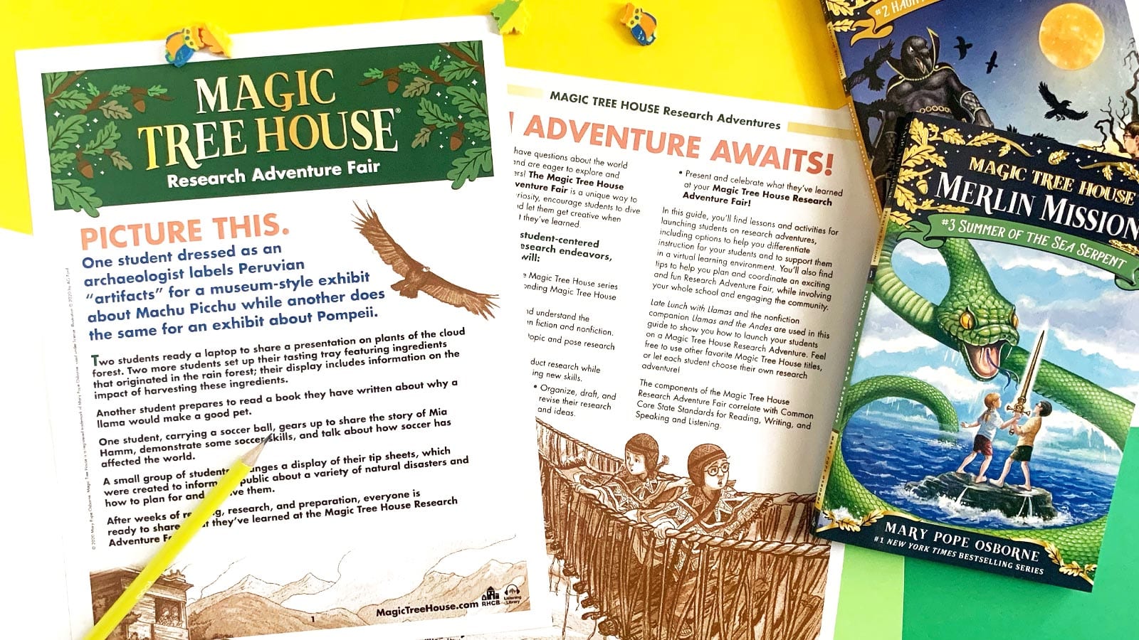 Magic Tree House guide with two books on a colored background.