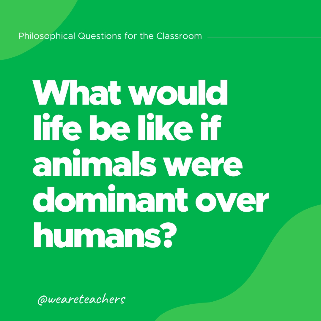 Philosophical Questions: What would life be like if animals were dominant over humans?