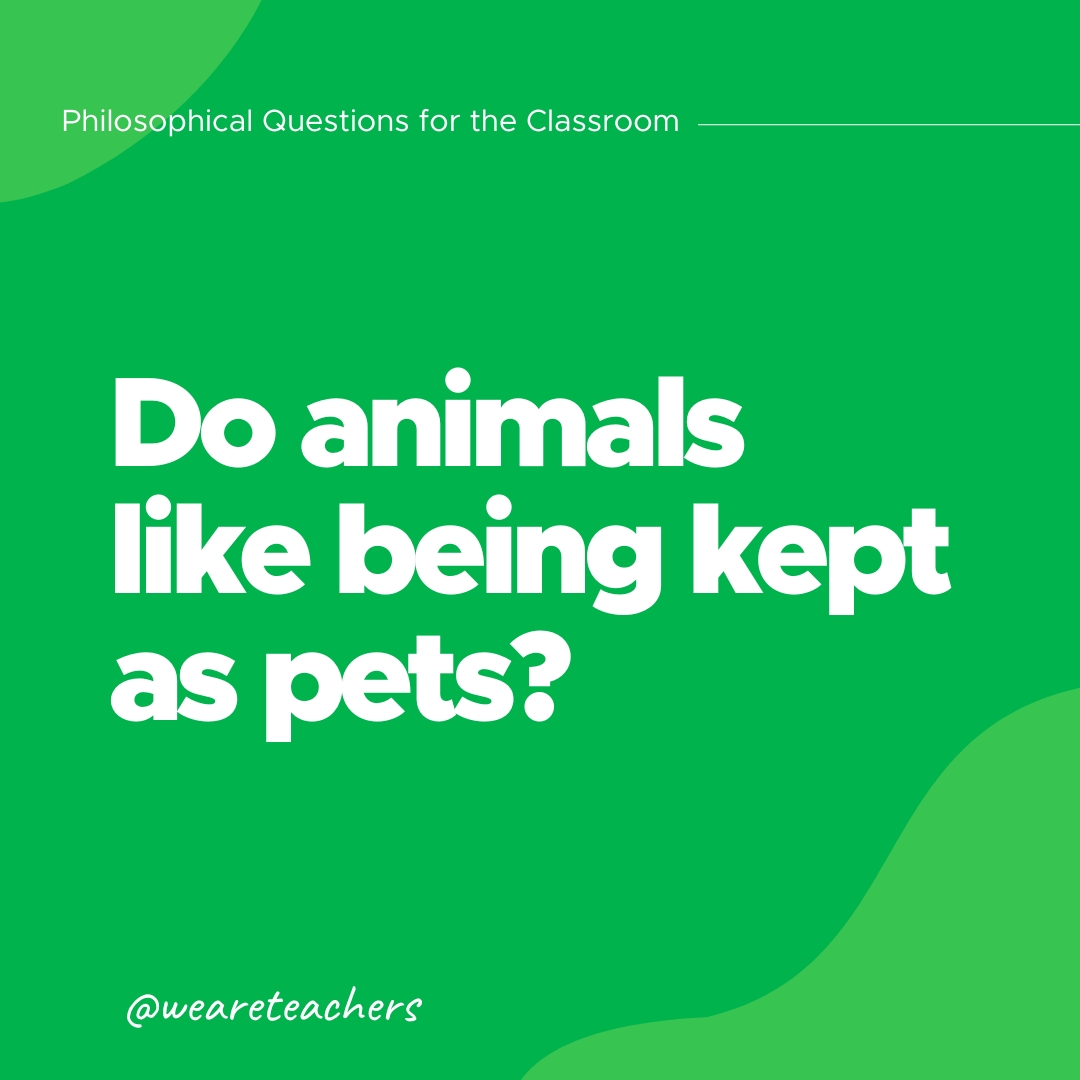 Do animals like being kept as pets?