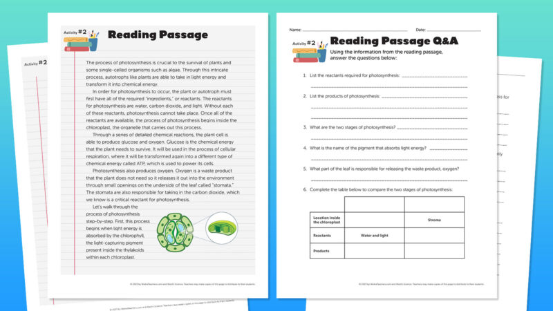 photosynthesis diagram and reading passage