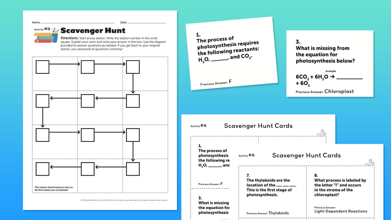 Photosynthesis Worksheets for Middle + High School. Free to Print!