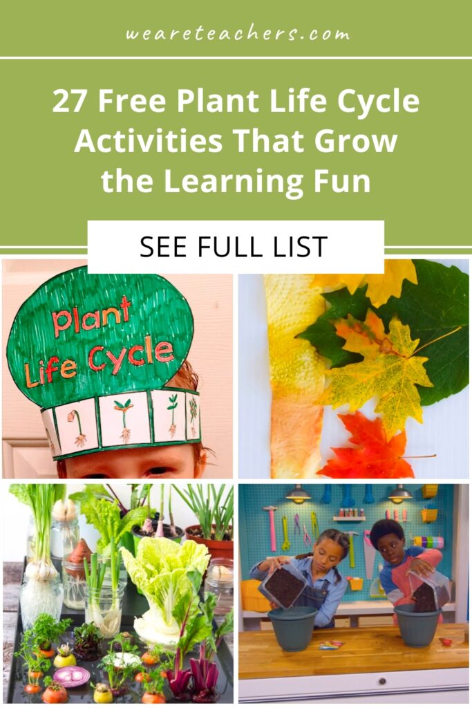 The potential of a seed never fails to amaze! Introduce young learners to plant science with these hands-on plant life cycle activities.