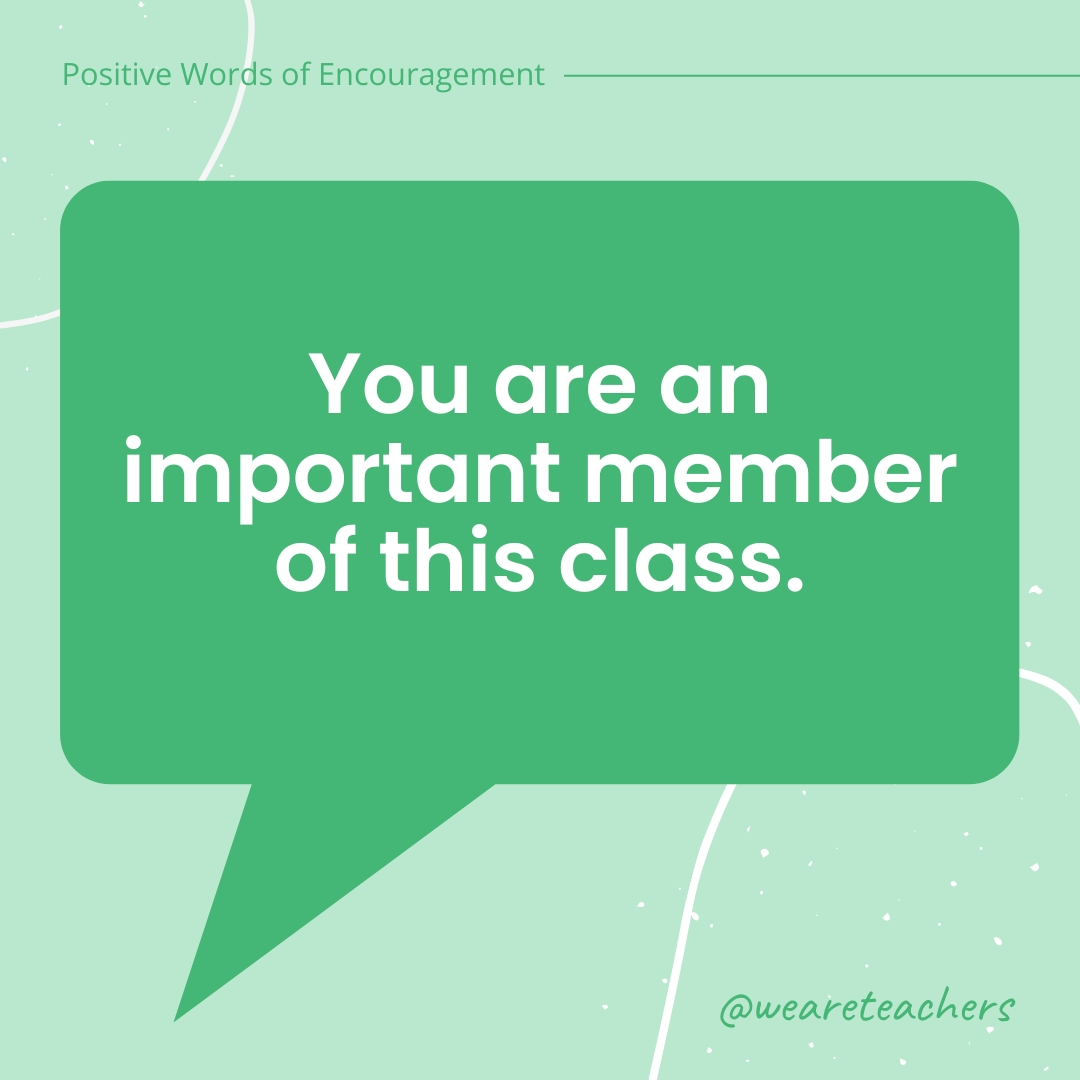 You are an important member of this class.