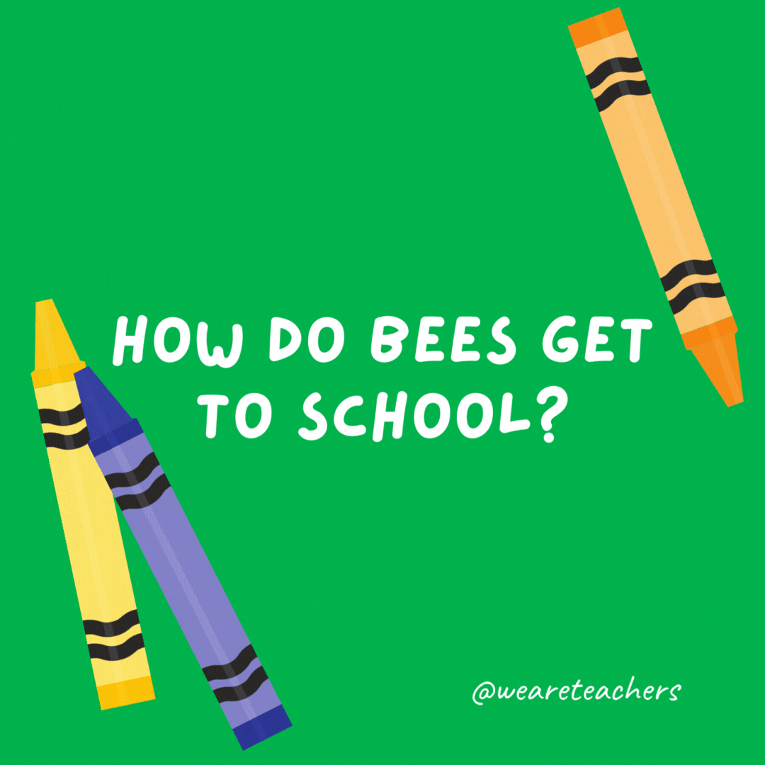 How do bees get to school?