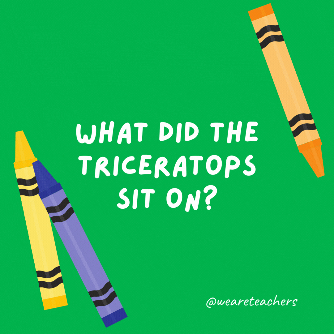 What did the triceratops sit on?