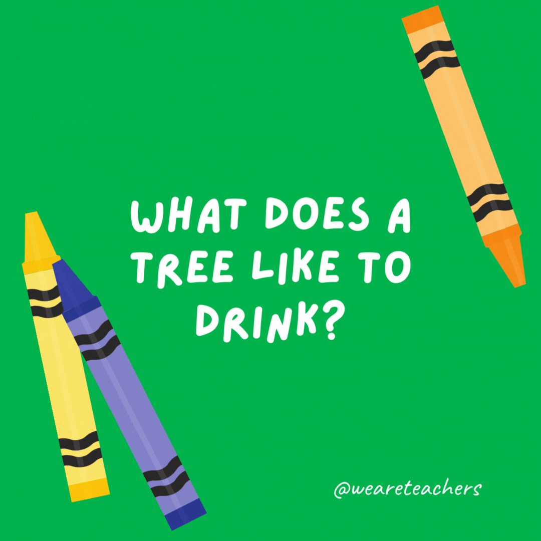 What does a tree like to drink?