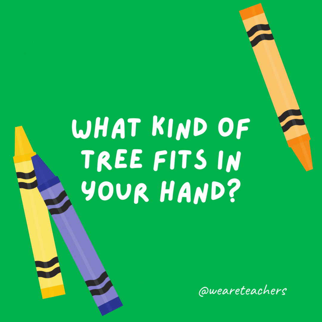 What kind of tree fits in your hand?