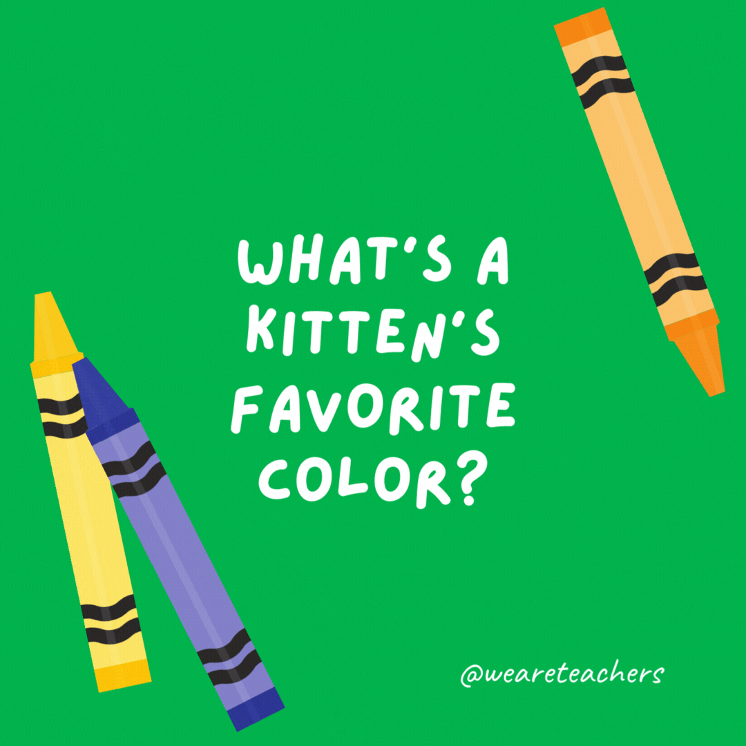 What’s a kitten’s favorite color?