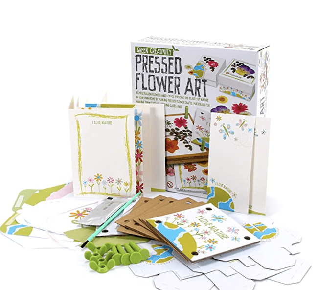 Flower press art kit, as an example of educational outdoor toys