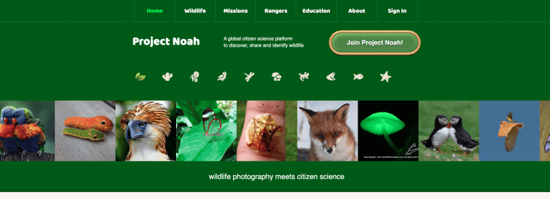 Project Noah website screengrab.