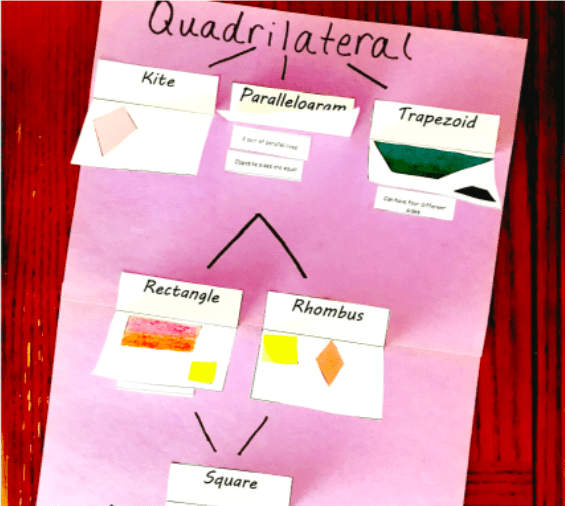 mini-poster of a quadrilateral family tree