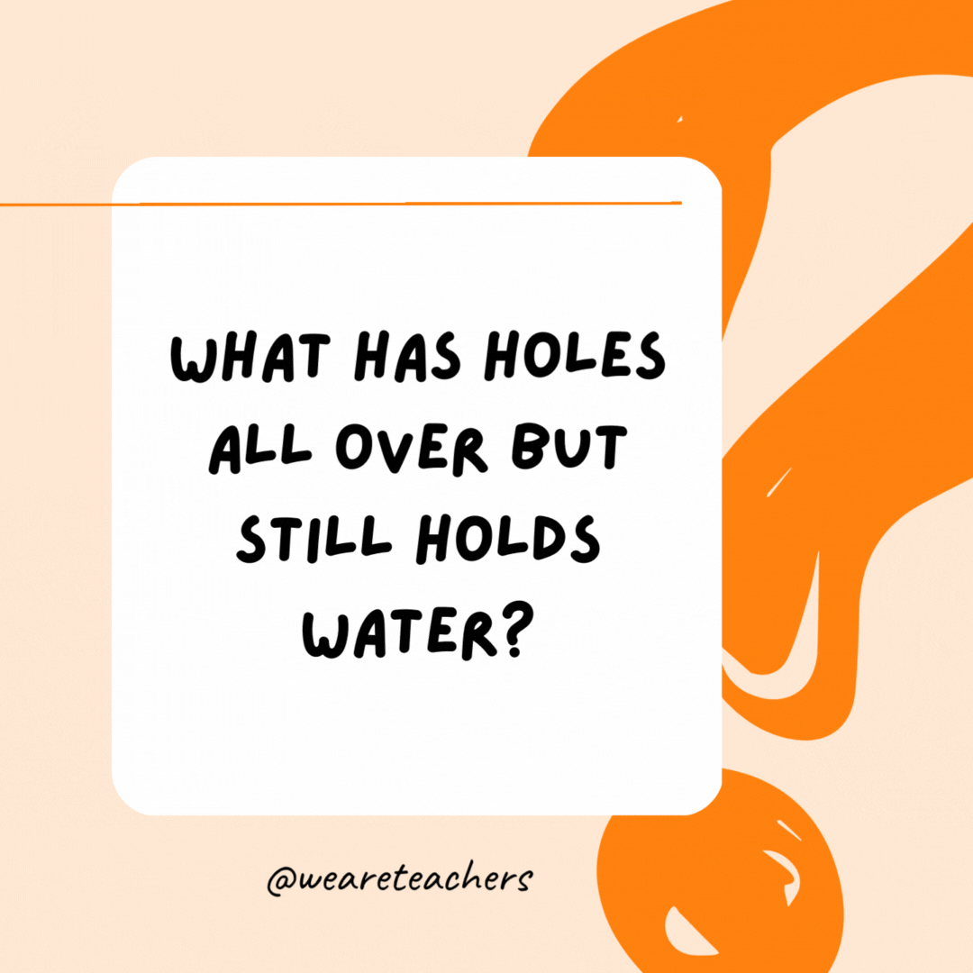 What has holes all over but still holds water? A sponge.- Riddles for Kids