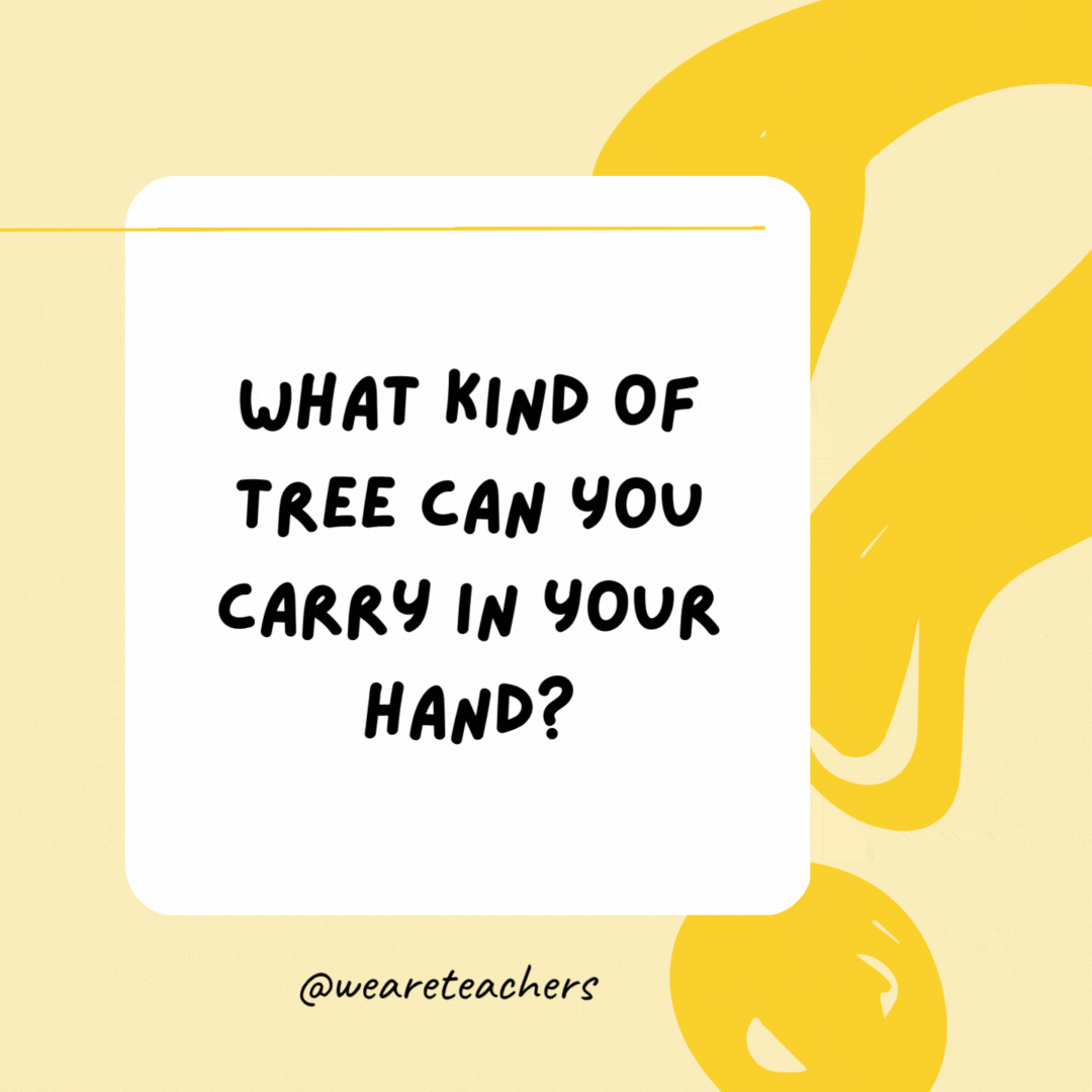 What kind of tree can you carry in your hand? A palm tree.- Riddles for Kids