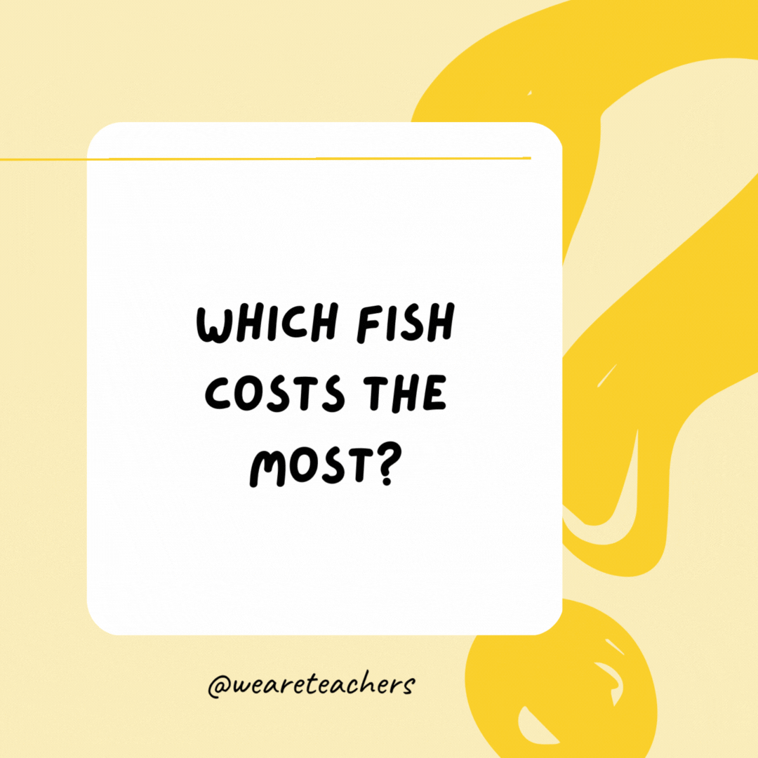 Which fish costs the most? A goldfish.