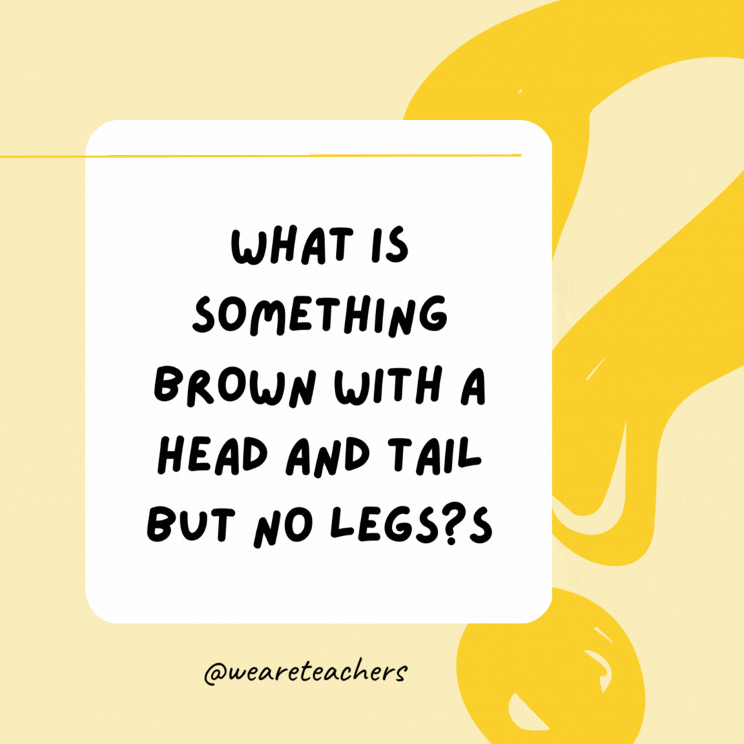 What is something brown with a head and tail but no legs? A penny.