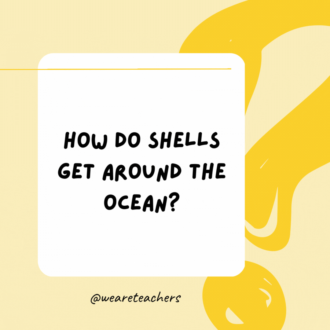 How do shells get around the ocean? A taxi crab.- Riddles for Kids