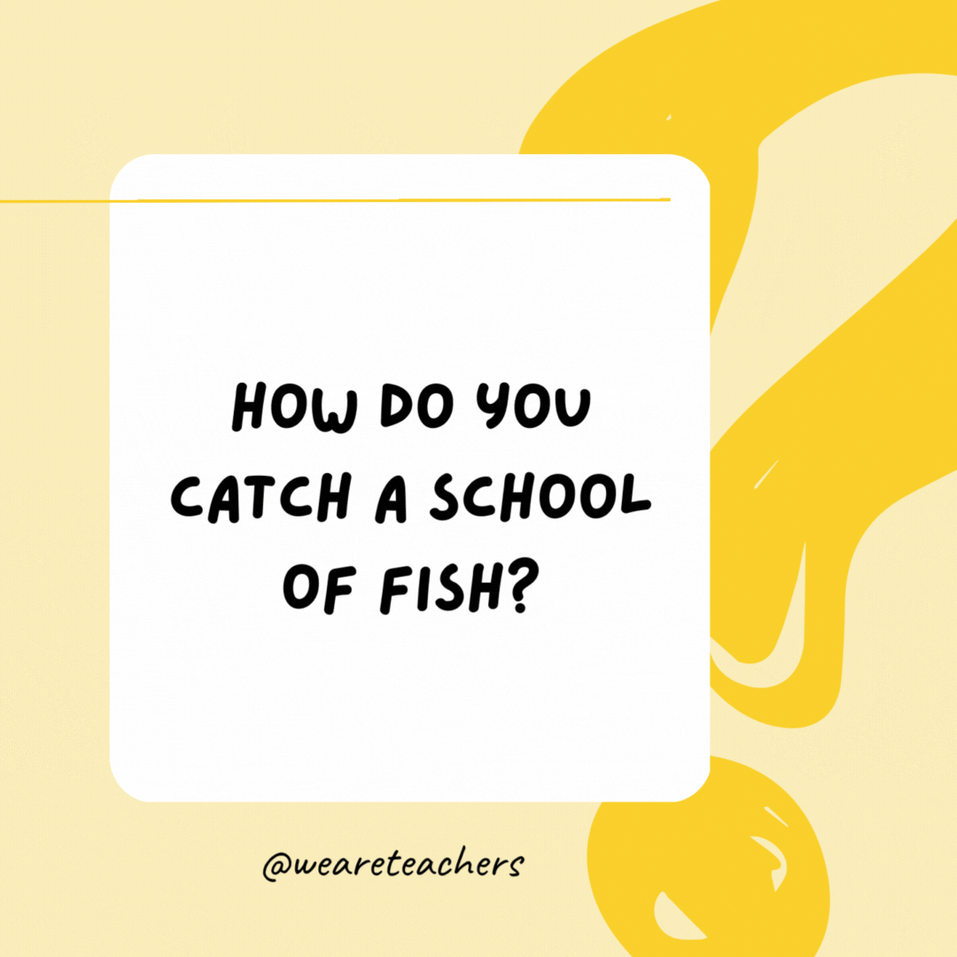 How do you catch a school of fish? A bookworm.