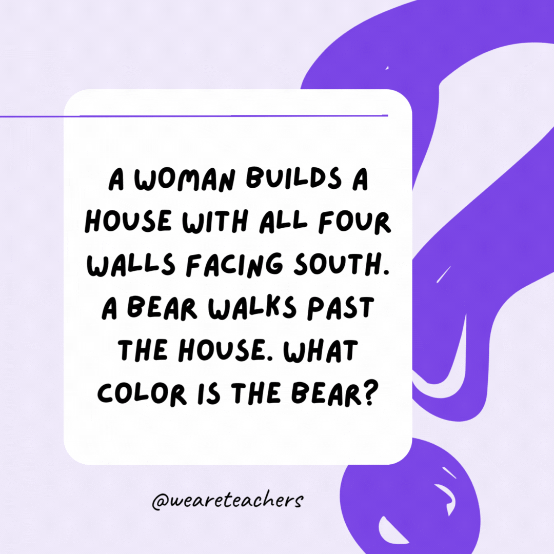 A woman builds a house with all four walls facing south. A bear walks past the house. What color is the bear? White. It is a polar bear.