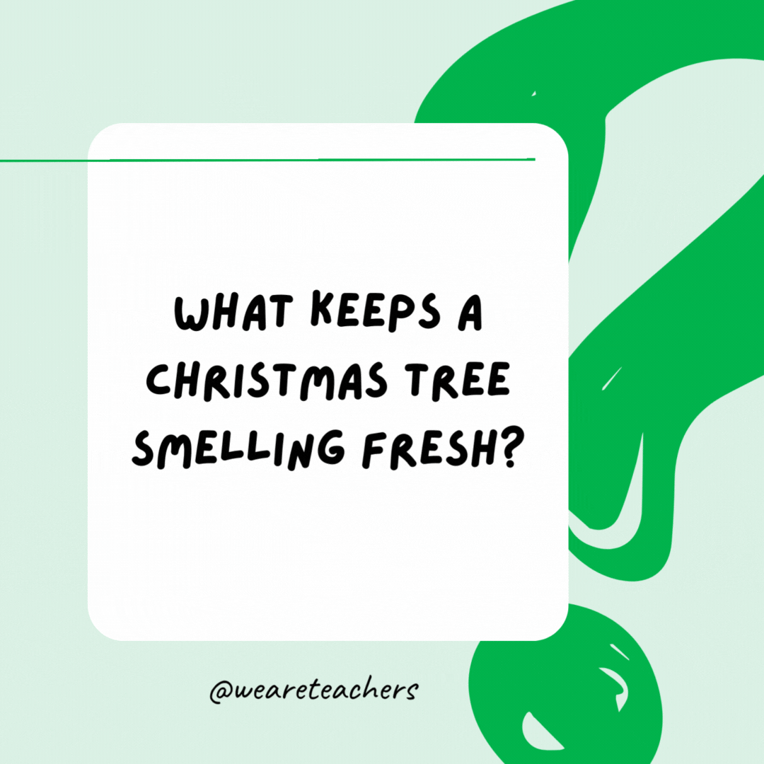 What keeps a Christmas tree smelling fresh? Orna-mints.- riddles for high school students