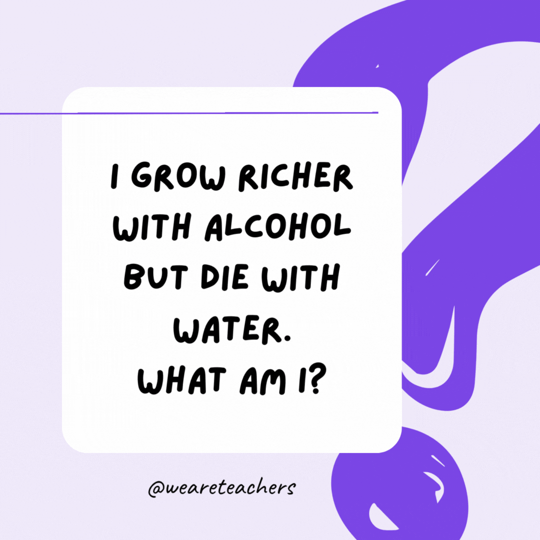 I grow richer with alcohol but die with water. What am I? Fire.