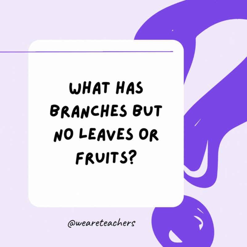 What has branches but no leaves or fruits? A bank. What has branches but no leaves or fruits? A bank.