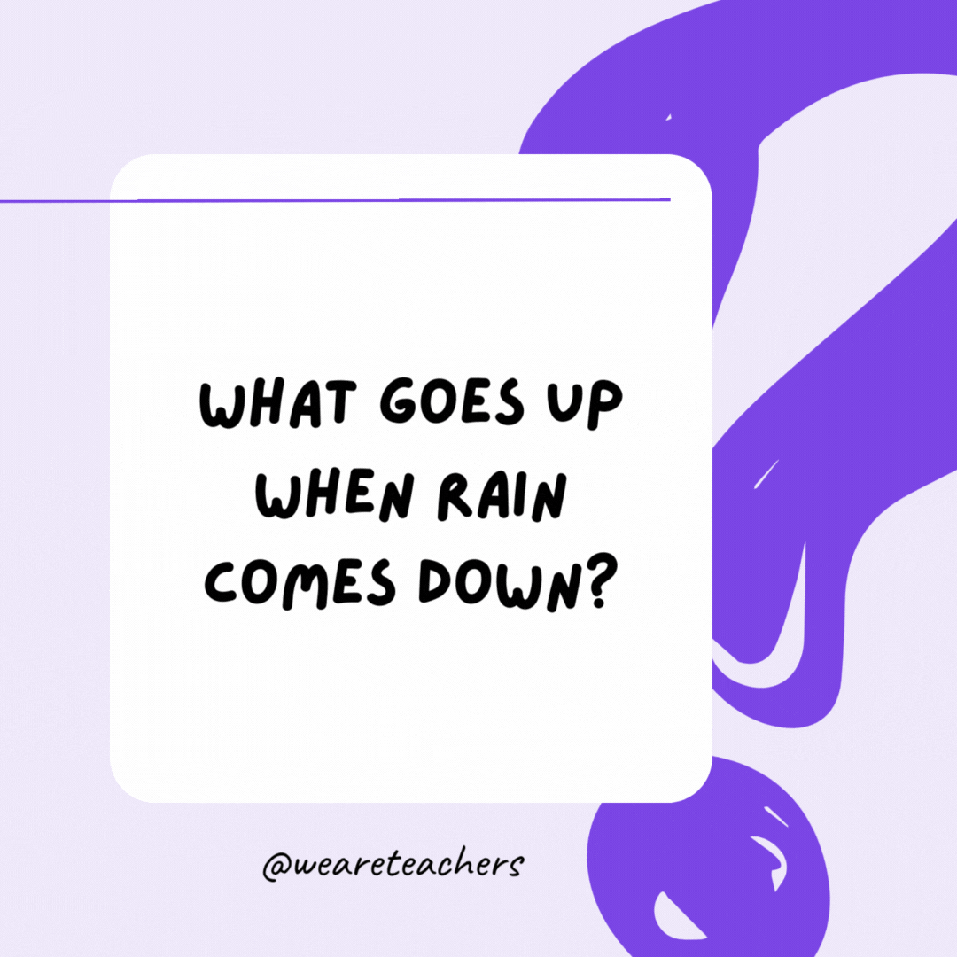 What goes up when rain comes down? An umbrella.