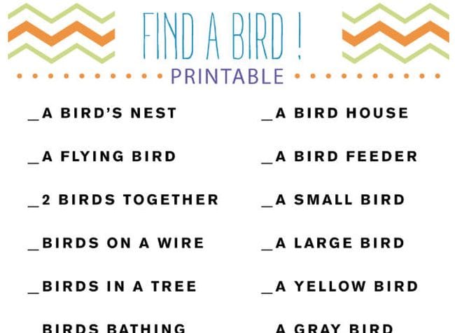 Find a Bird! Printable scavenger hunt with various bird-related items to find