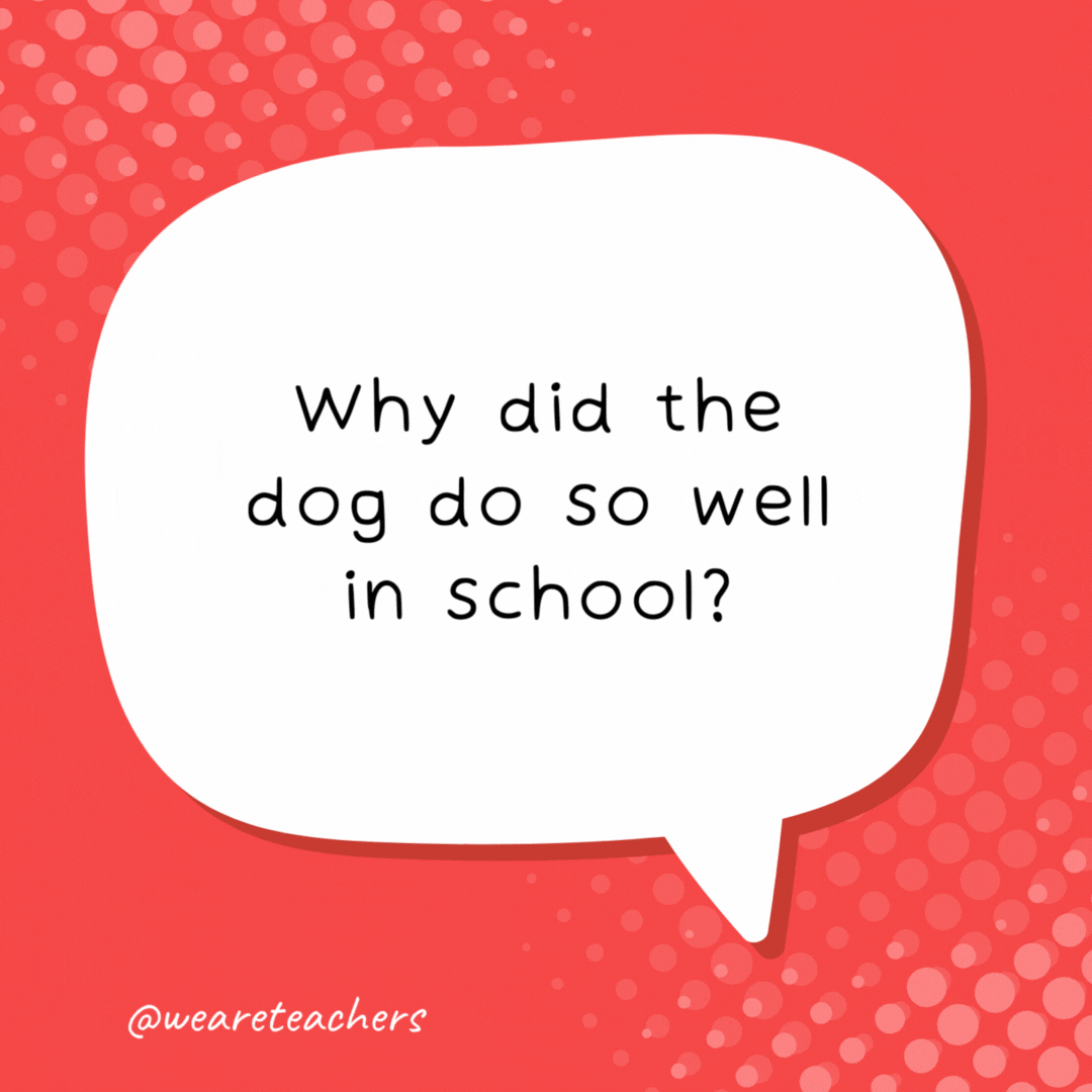 Why did the dog do so well in school? Because he was the teacher’s pet - school jokes for kids.