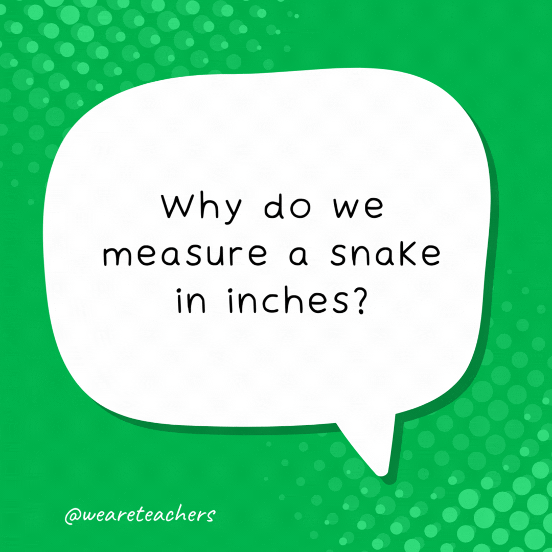 Why do we measure a snake in inches?

Because it doesn't have feet.- school jokes for kids