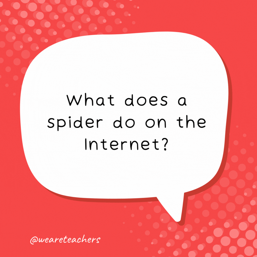 What does a spider do on the Internet?

Create a WEBsite.- school jokes for kids