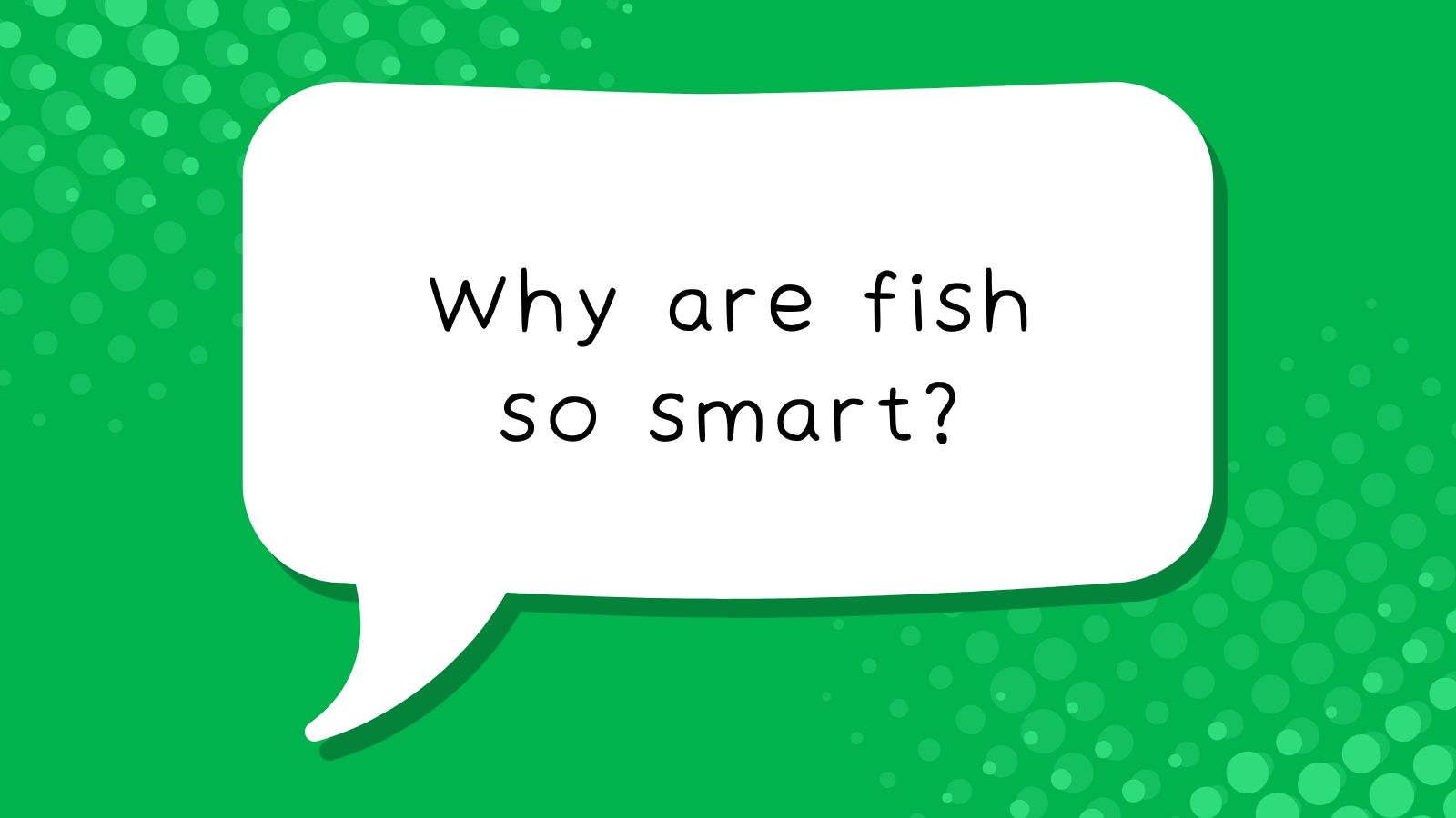 Why are fish so smart?