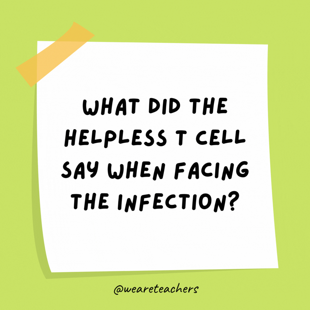 What did the helpless T cell say when facing the infection? Is there antibody out there?