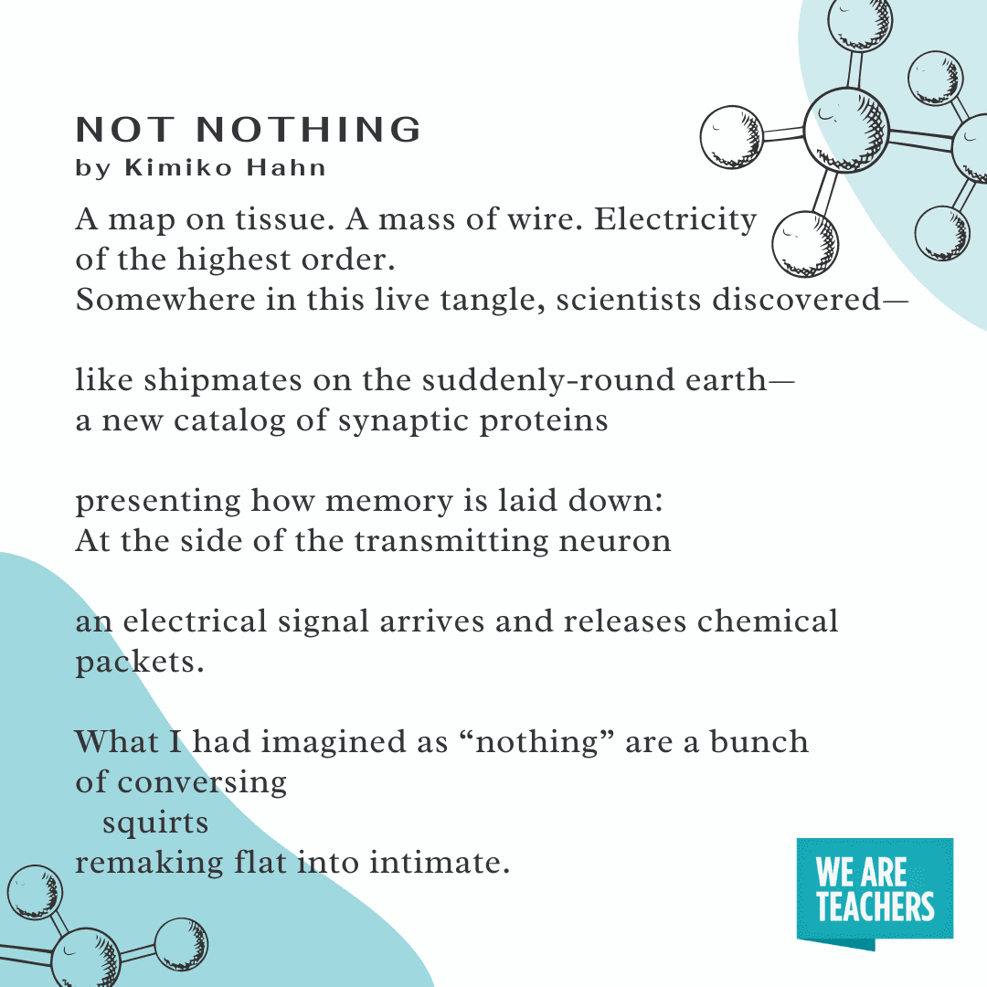 Not Nothing science poem