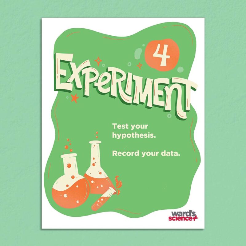 scientific method posters experiment
