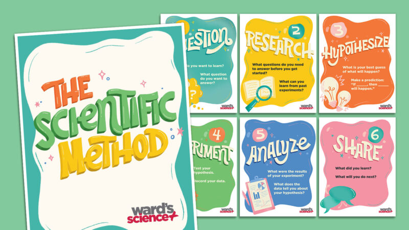 scientific method posters feature