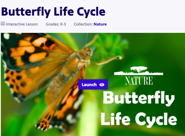 "Butterfly life cycle", image of a butterfly.