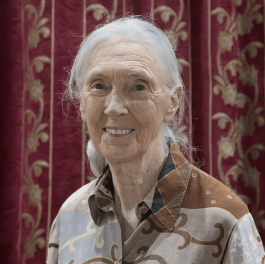 Jane Goodall smiling, as an example of famous scientists
