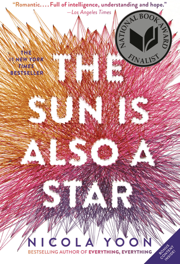 The Sun Is Also a Star book cover