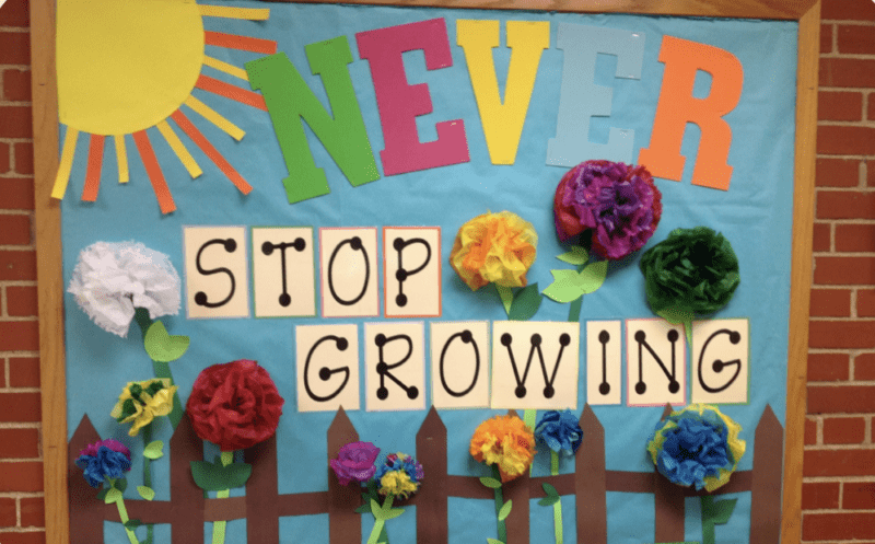 Bulletin board with the sun and words Never stop growing