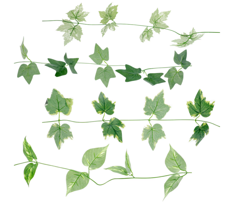 Vines draped from the ceiling