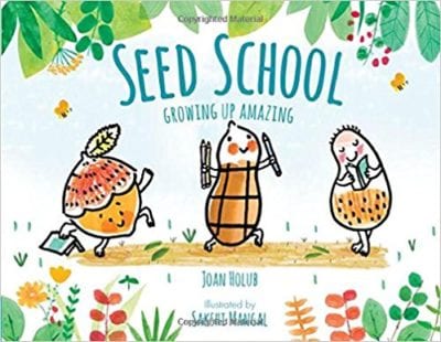 Book cover for Seed School: Growing up Amazing