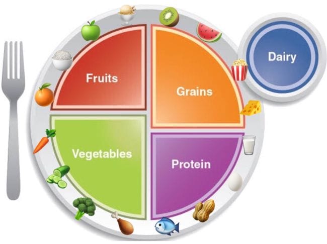 Plate divided into fruits, grains, vegetables, protein with dairy on the side and food icons around the edges