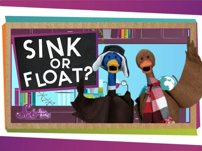 Photo showing two duck puppets with caption Sink or Float?