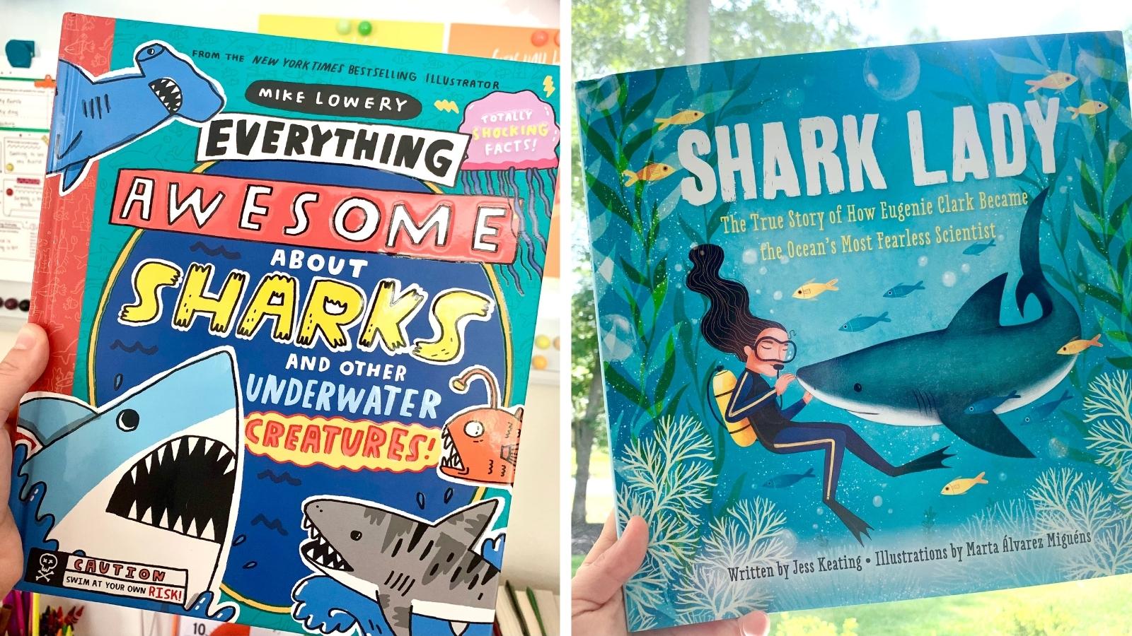 Shark books for the classroom.