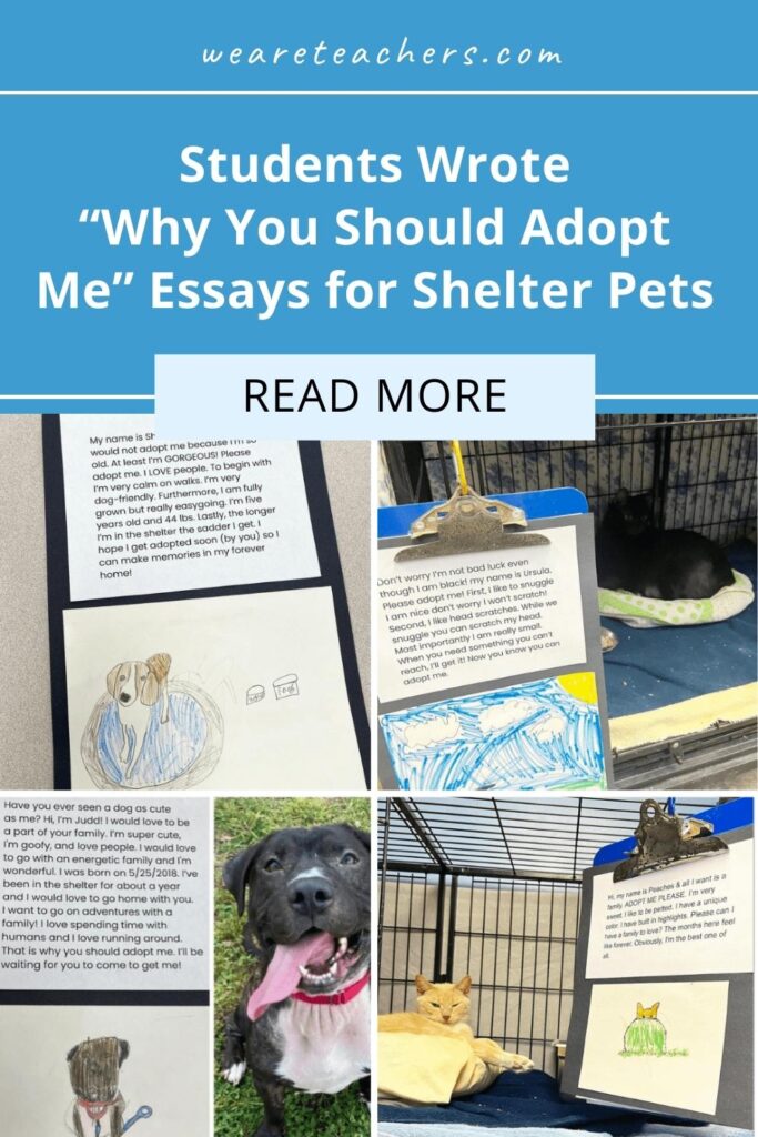 To Learn Persuasive Writing, These Students Wrote "Why You Should Adopt Me" Essays for Shelter Pets