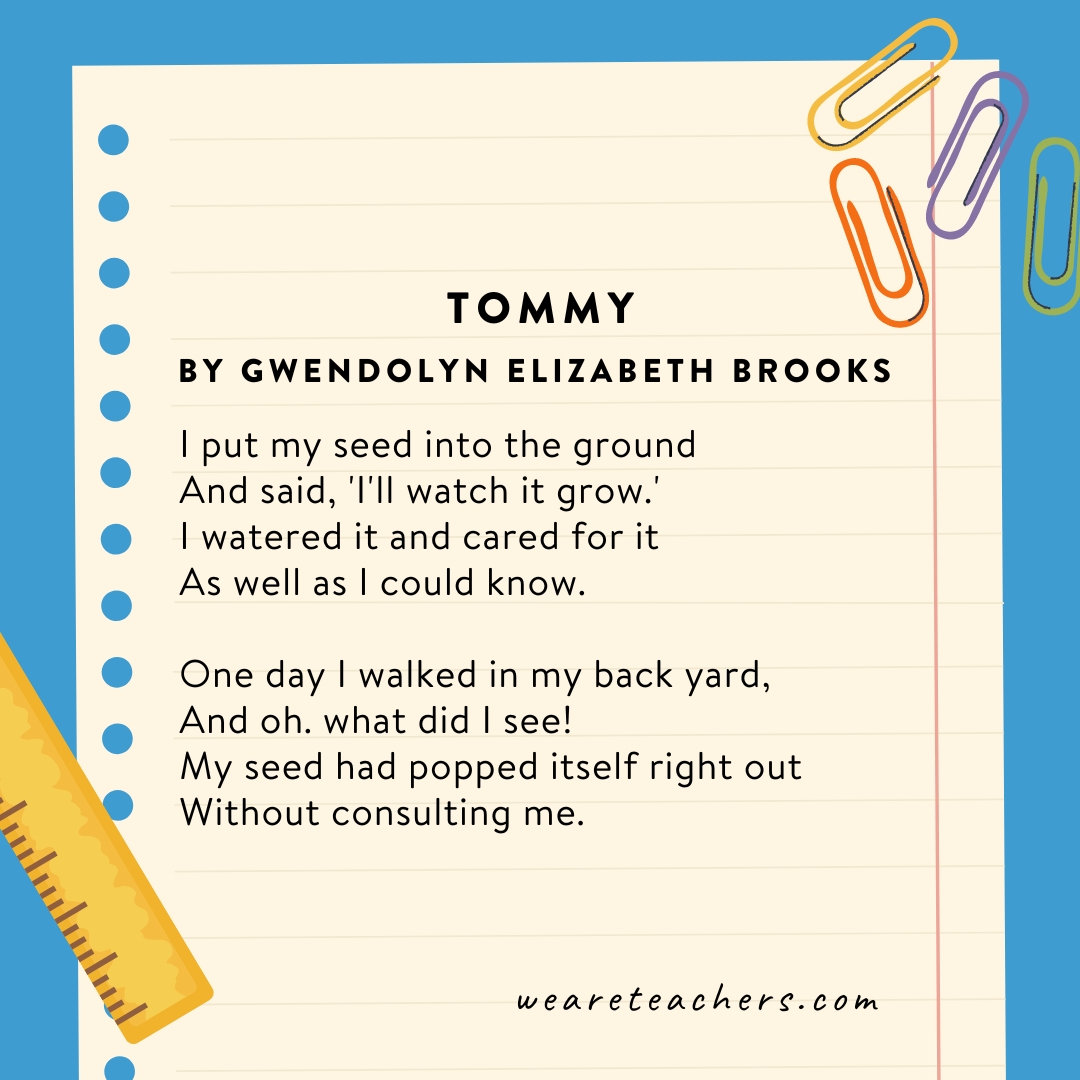 Tommy by Gwendolyn Brooks