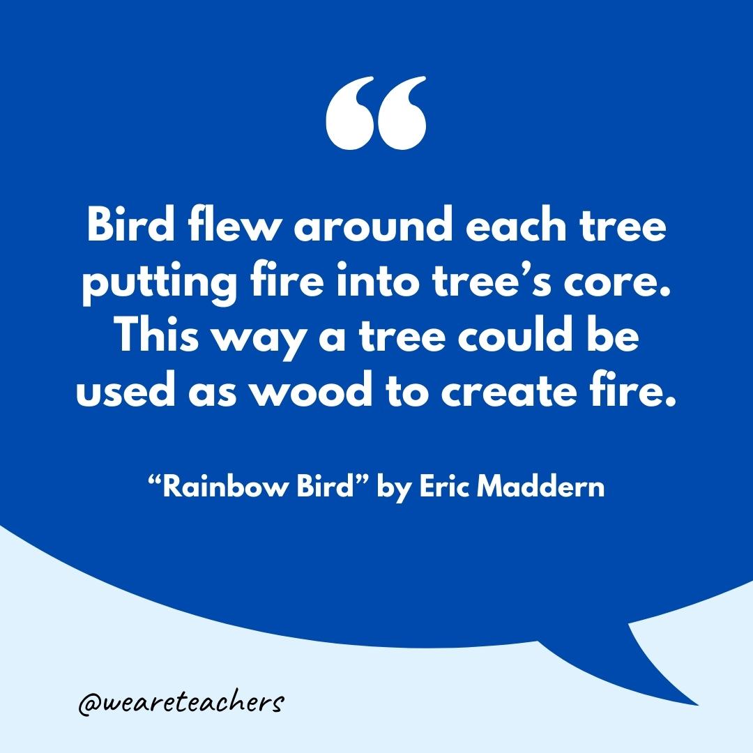 "Rainbow Bird" by Eric Maddern.